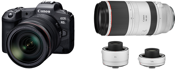 Canon E O S R5and Lens Accessories PNG