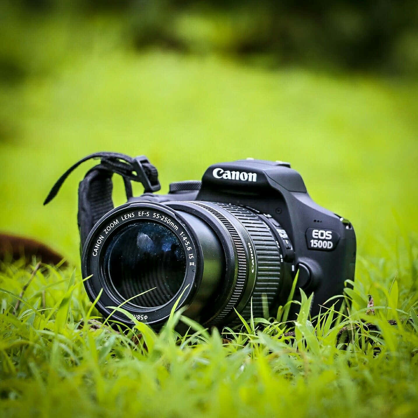 Kamerafotografering fra Canon på græs. Wallpaper