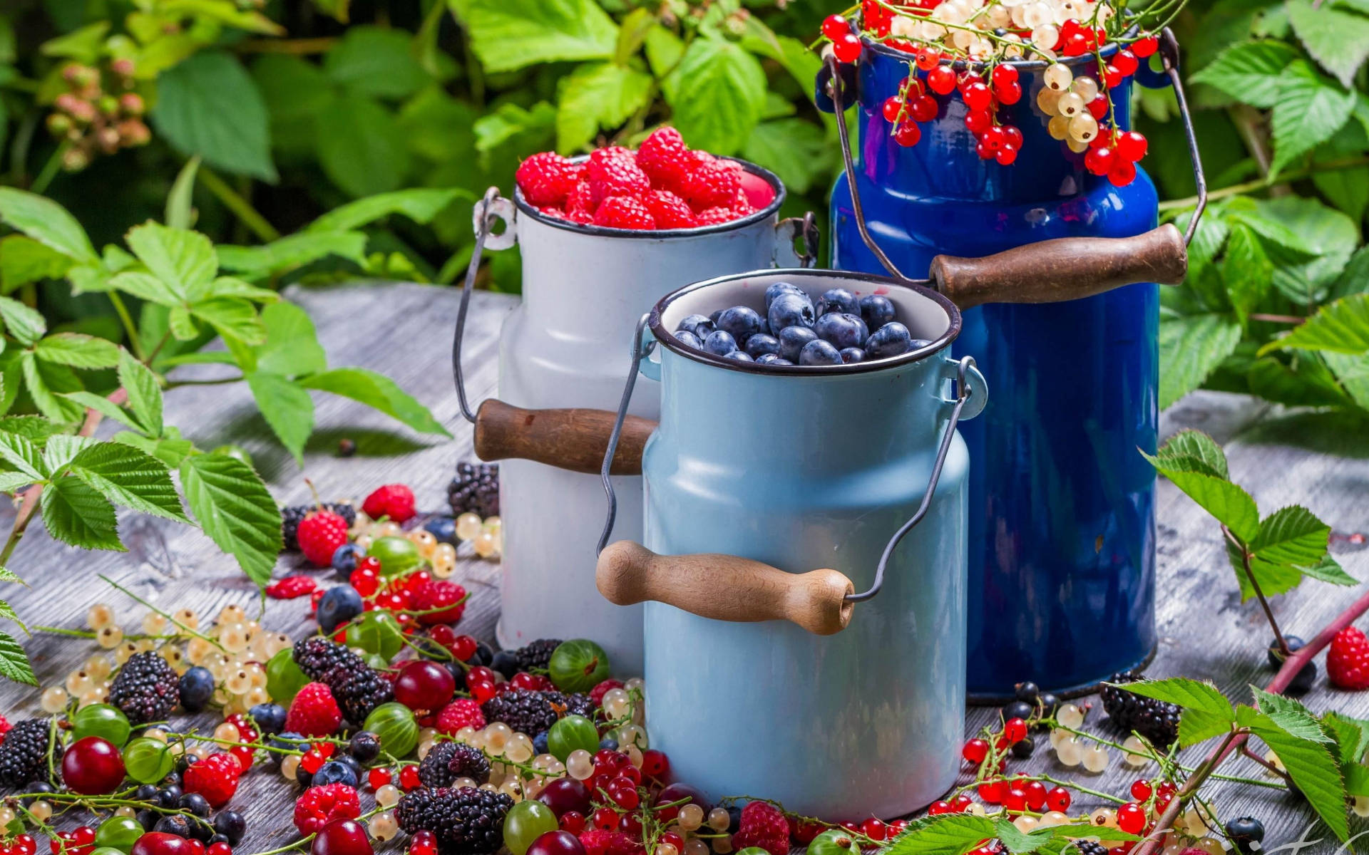Cans Filled With Berries Wallpaper