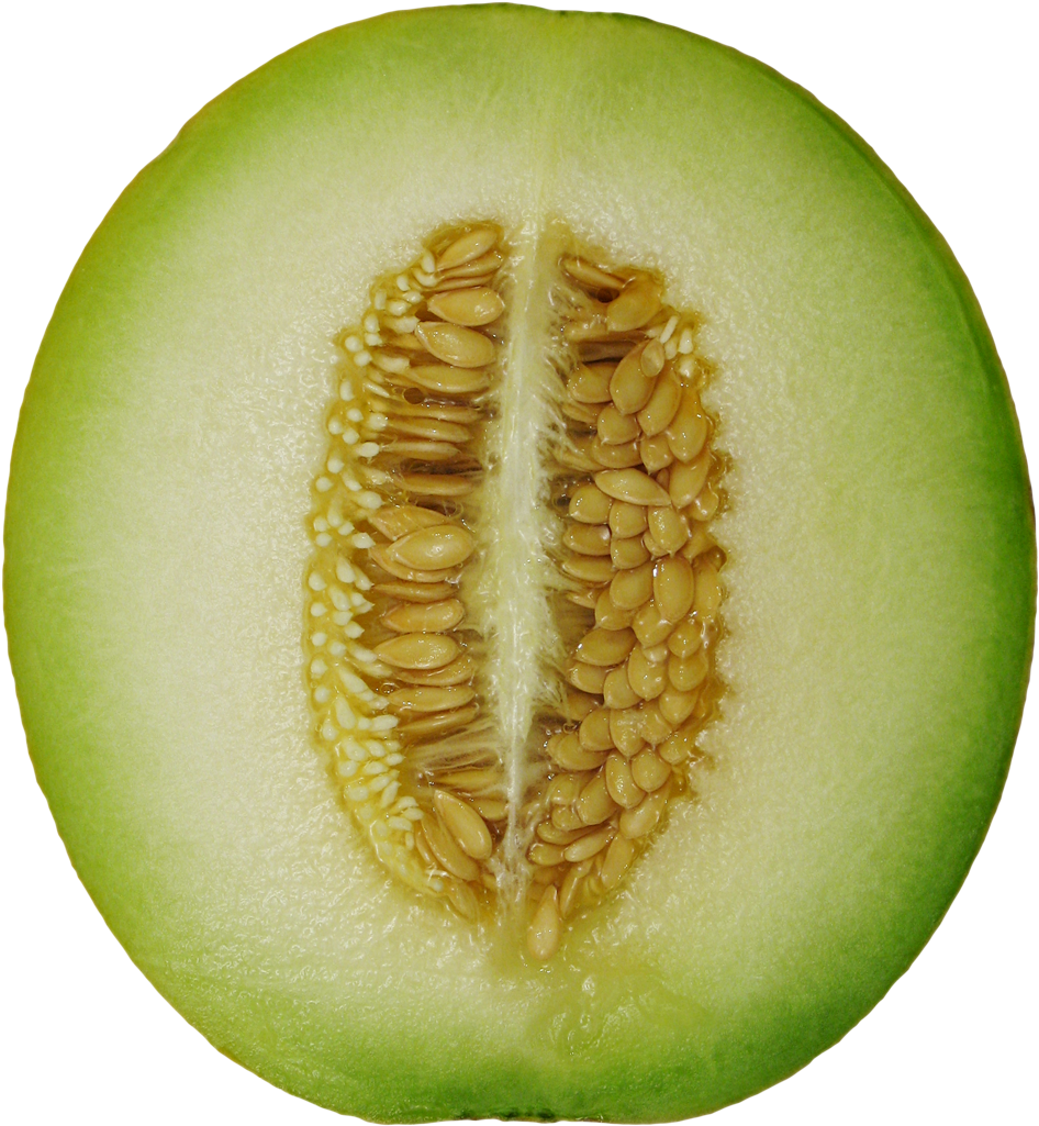 Cantaloupe Cross Section PNG