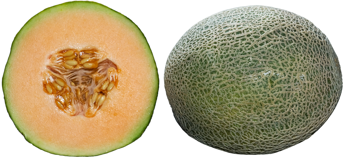 Cantaloupe Halfand Whole PNG