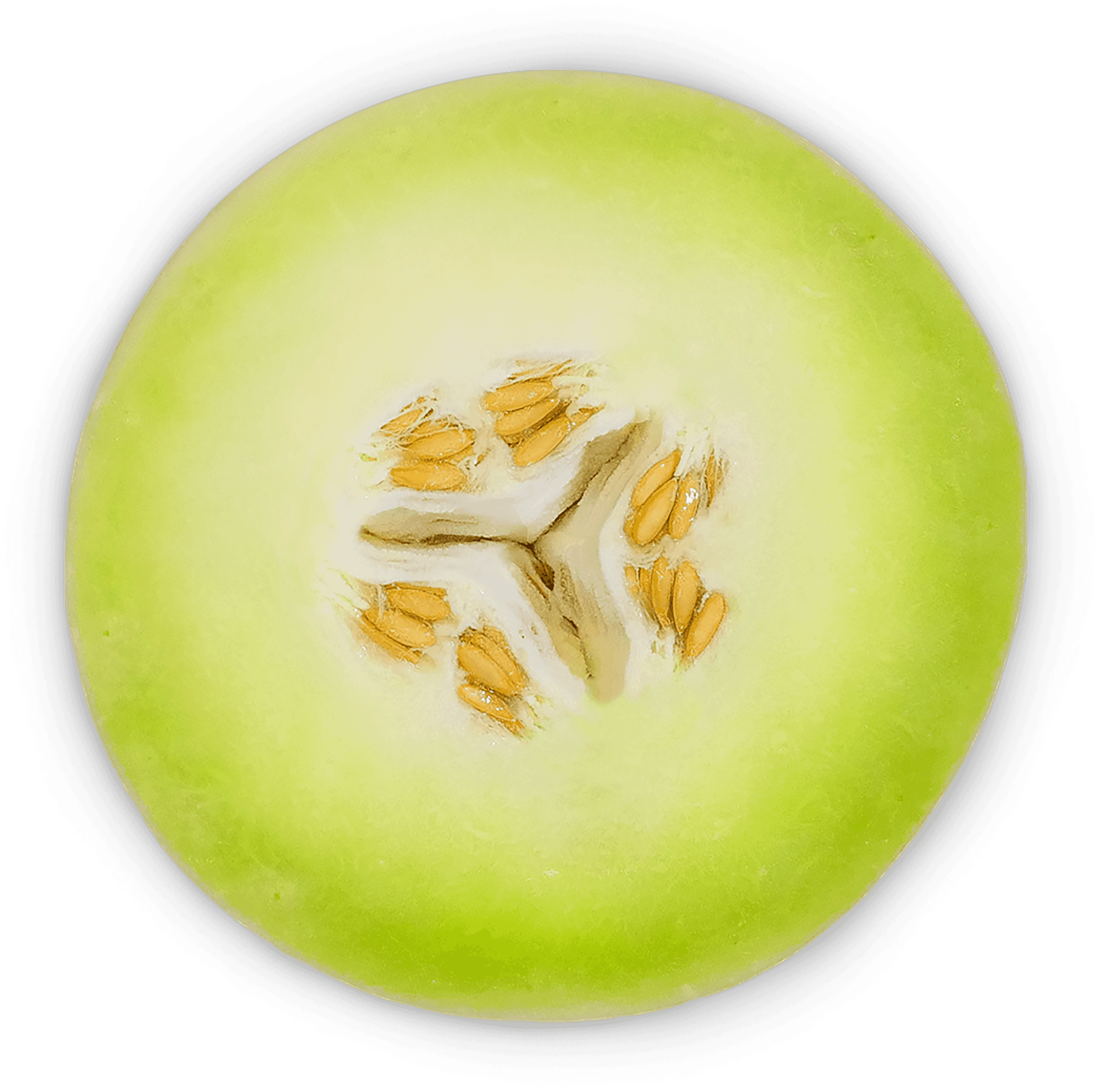 Cantaloupe Slice Closeup.png PNG