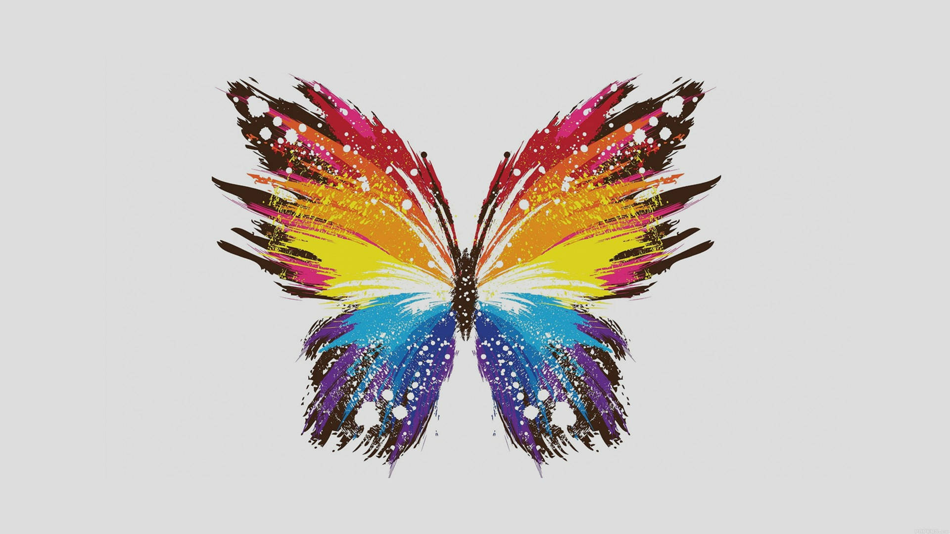 Canva Multicolored Butterfly Wallpaper
