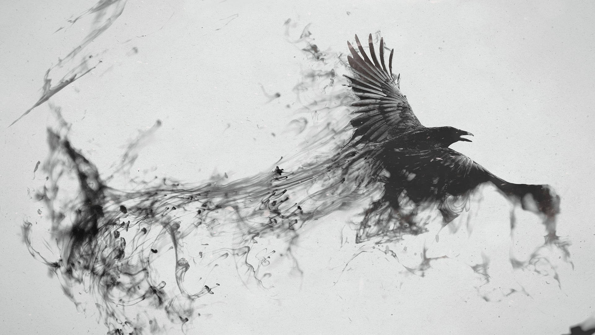 Canva Raven Disintegration Art Wallpaper