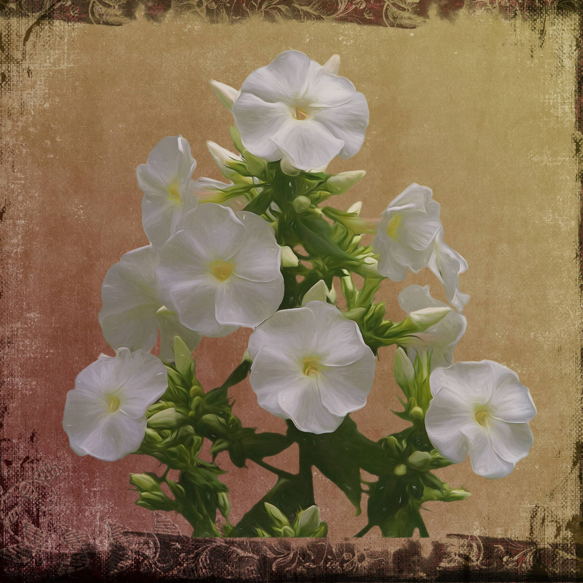 Artede Flores Blancas De Canva Fondo de pantalla