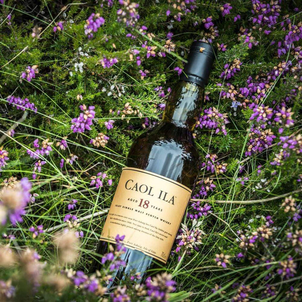 Caol Ila Scotch Whiskey Lavender Wallpaper