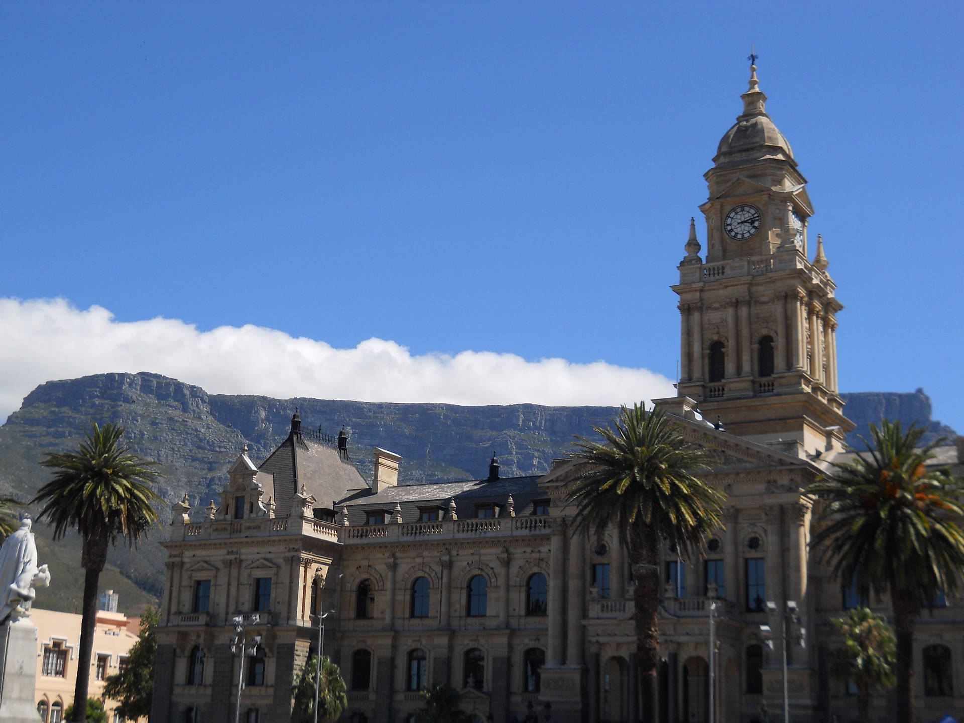 Câmara Municipal Da Cidade Do Cabo Papel de Parede