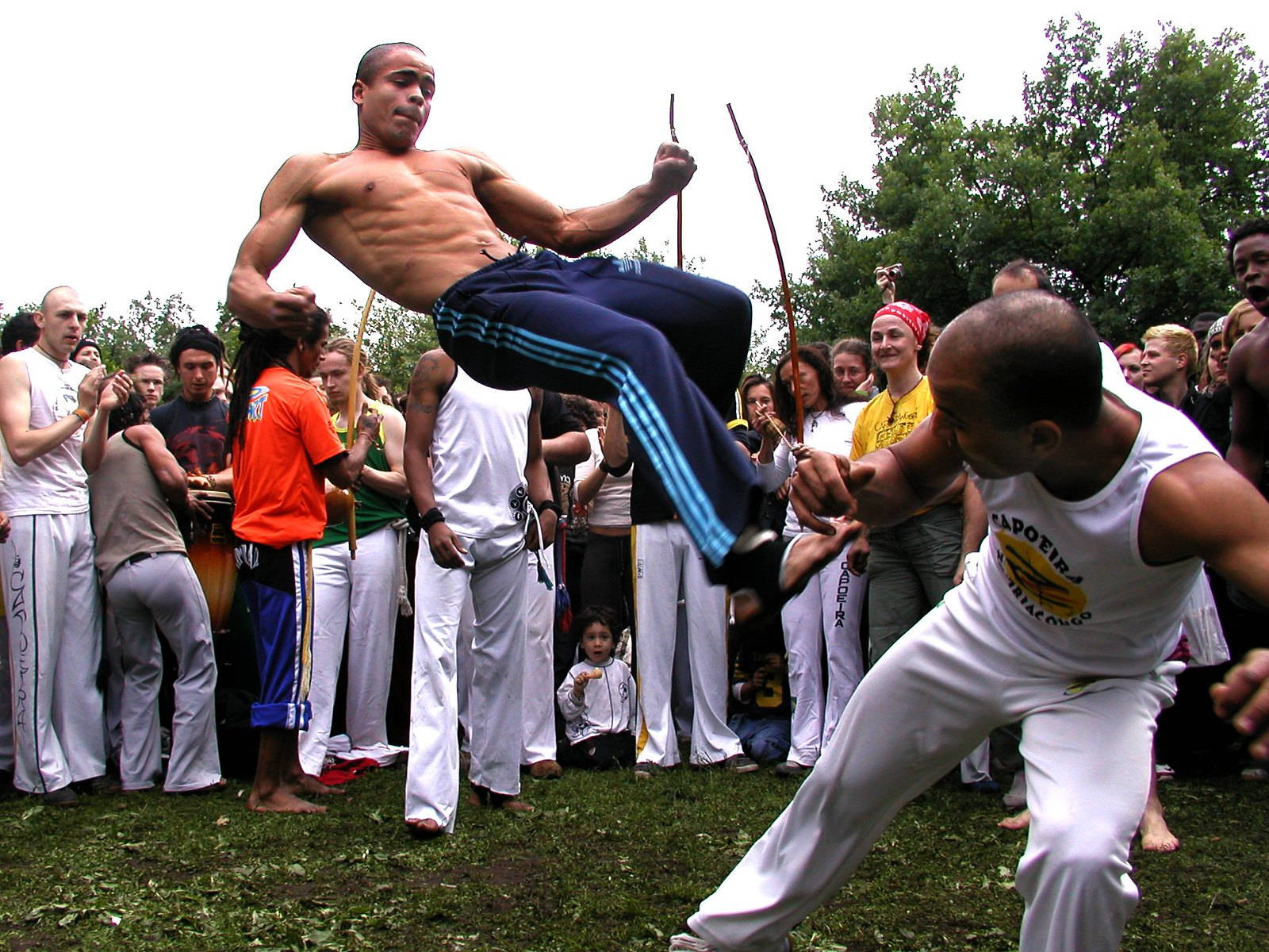 Affascinanteesibizione Di Capoeira Nel Parco Sfondo