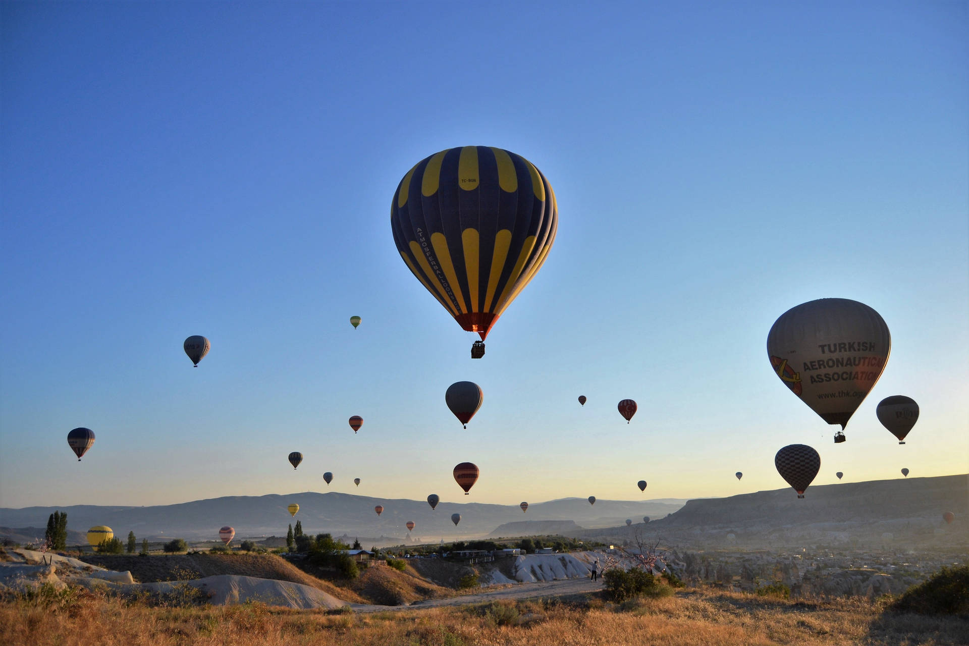 Cappadocia Balloons Taking Off Wallpaper