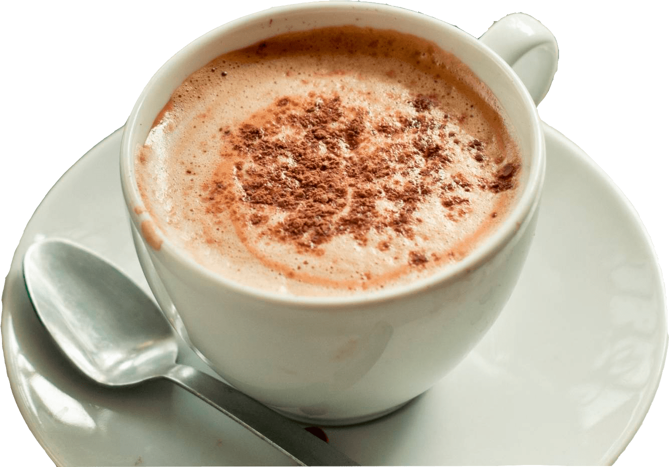 Cappuccino Cupwith Cinnamon Sprinkle PNG