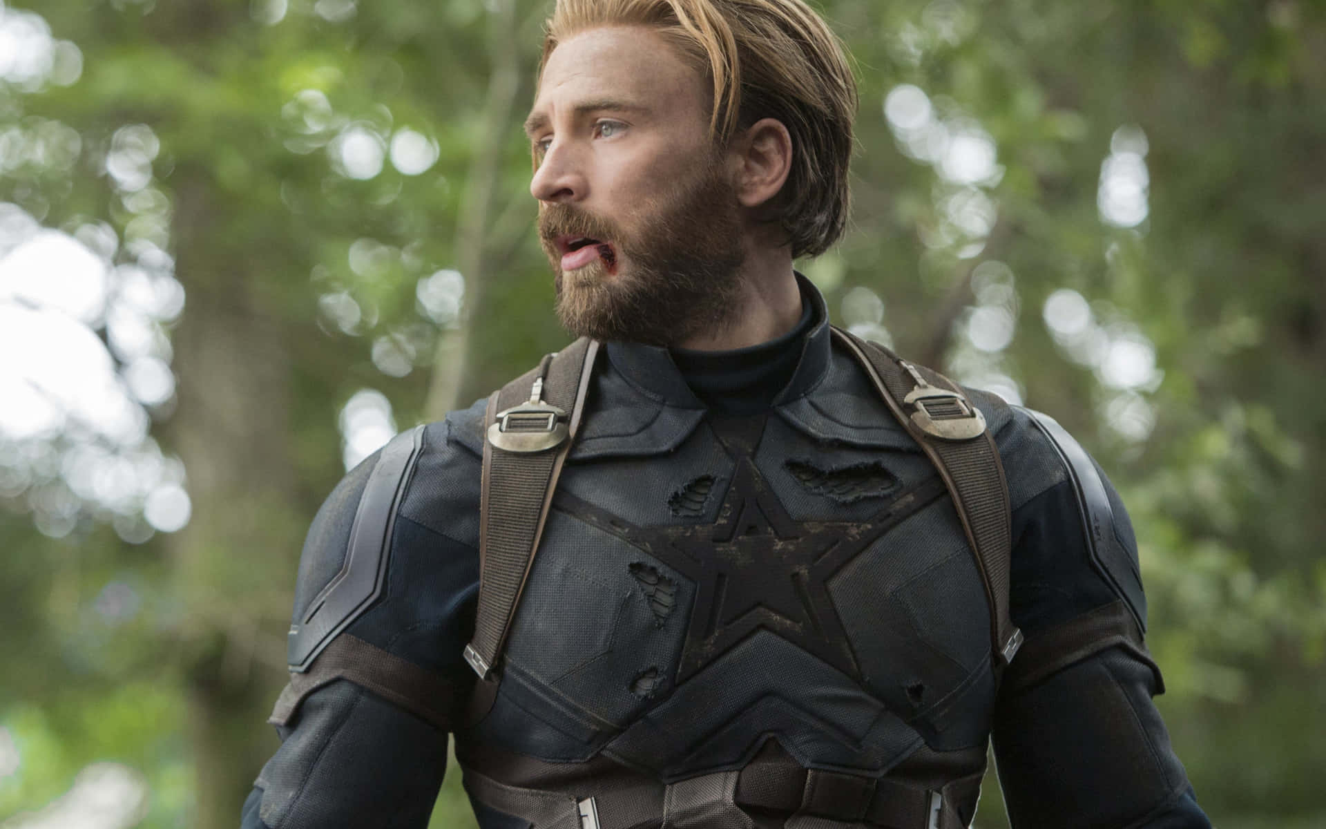 Captain America i skoven Wallpaper