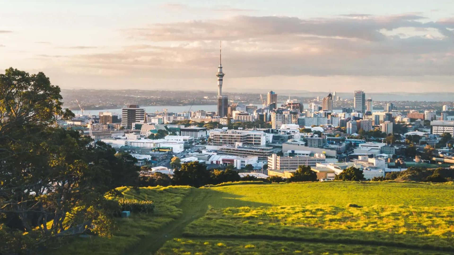 Caption: A Mesmerizing View Of Auckland Skyline At Dusk Wallpaper