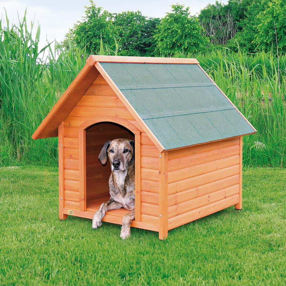 Caption: A Wooden Dog House In A Green Garden Wallpaper