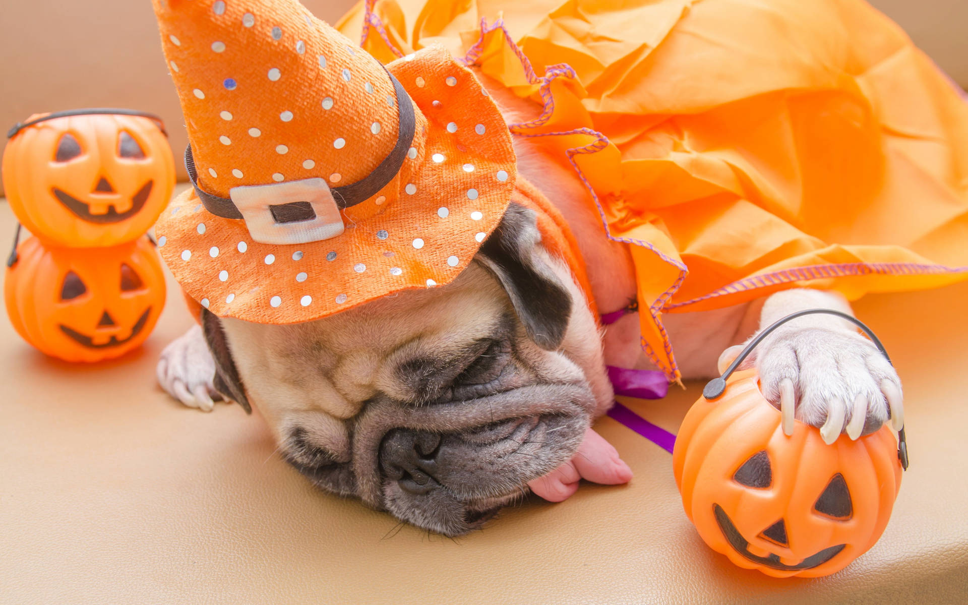 Caption: Adorable Halloween Desktop - Spooky Fun Awaits Wallpaper