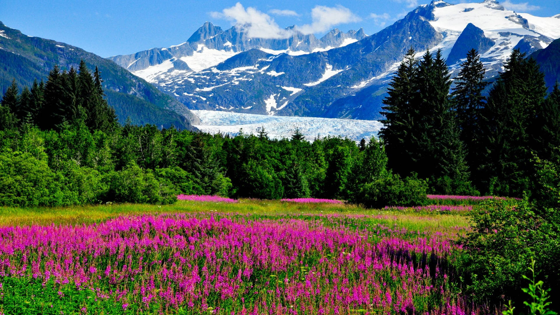Caption: Breathtaking View Of The Alaskan Wilderness Wallpaper