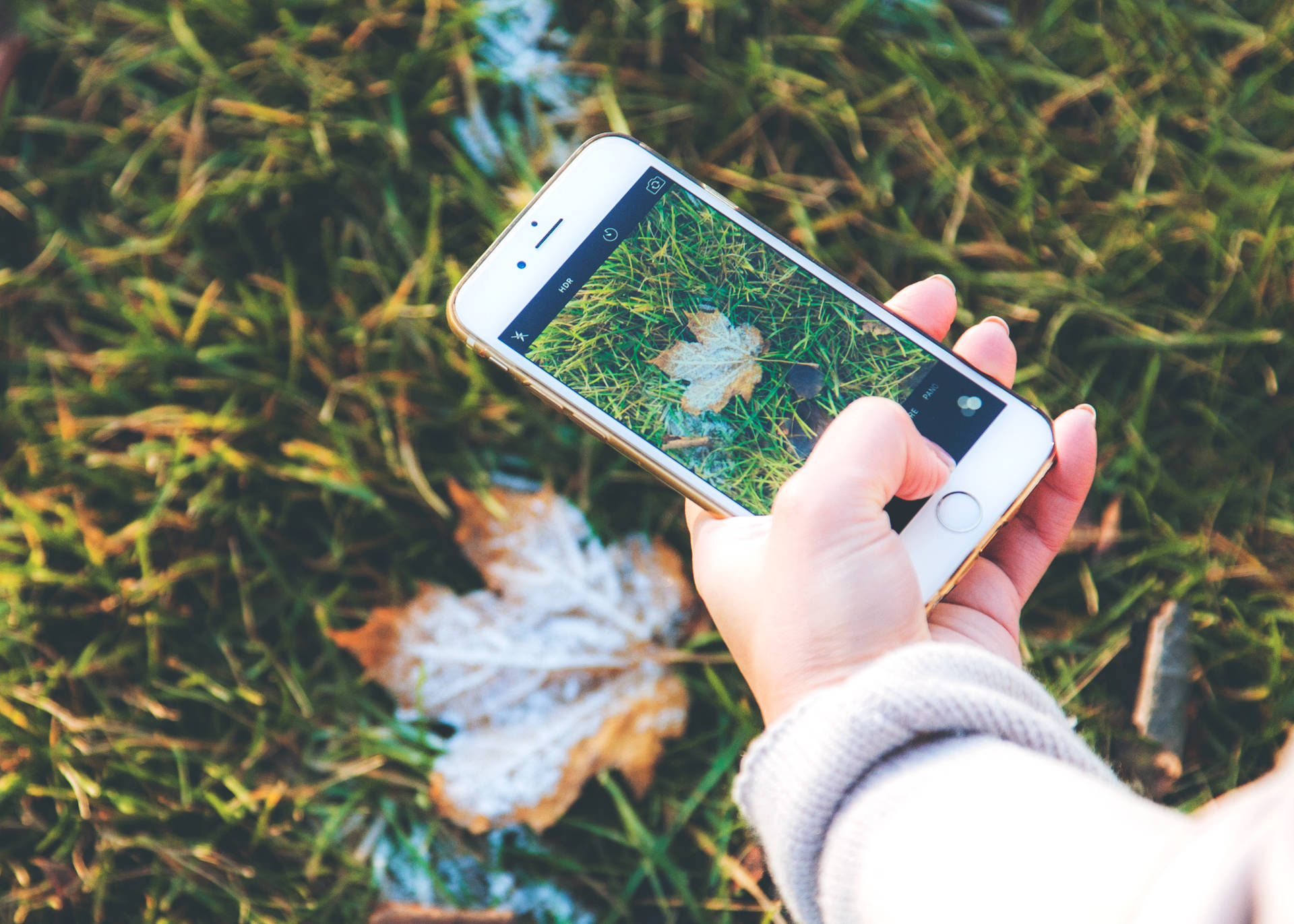 Caption: Captivating Autumn Landscape With Phone Wallpaper