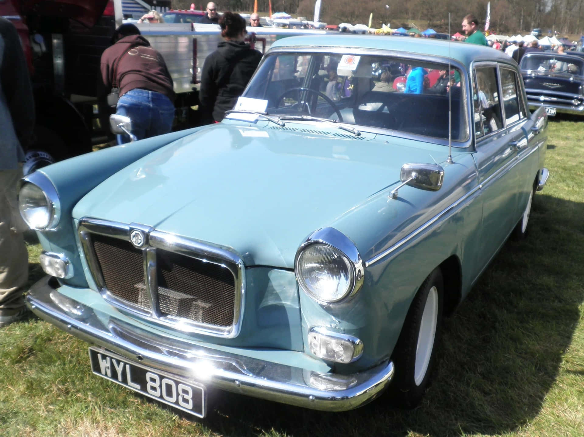 Caption: Classic Beauty – Mg Magnette In Full Glory Wallpaper