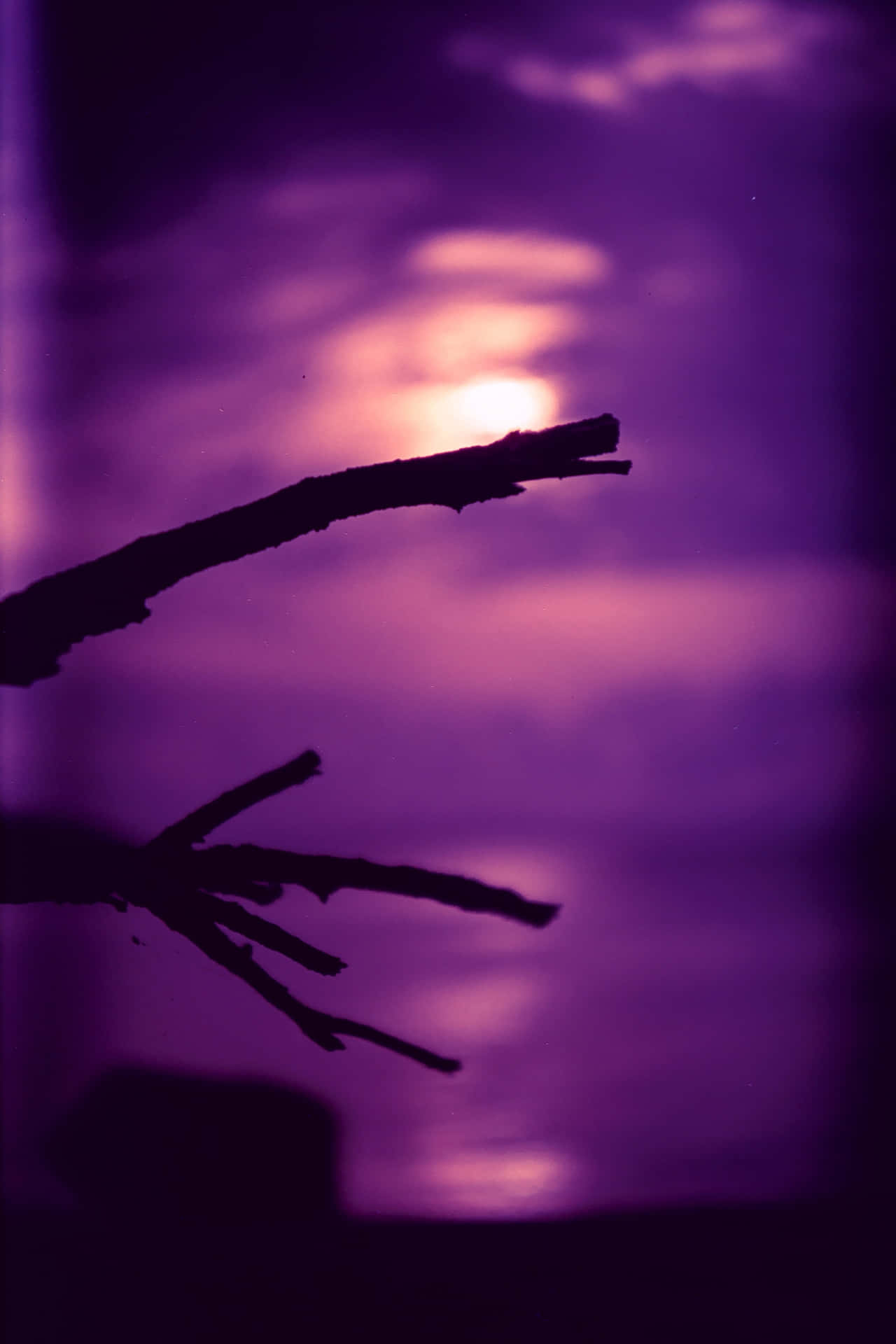 Caption: Delightful Gradient Purple Abstract Background Wallpaper