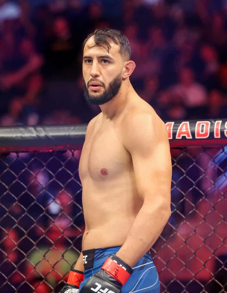 Caption: Dominick Reyes In Competitive Fight Stance Wallpaper