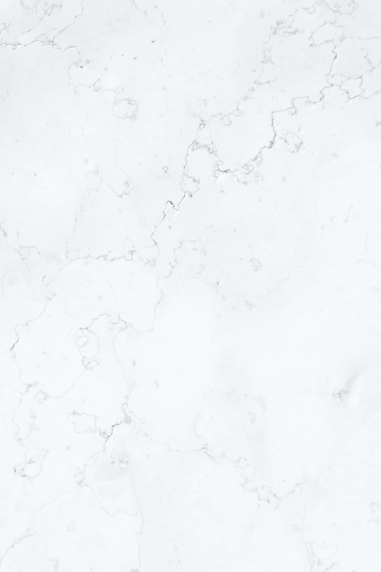 Caption: Elegant White Marble Texture