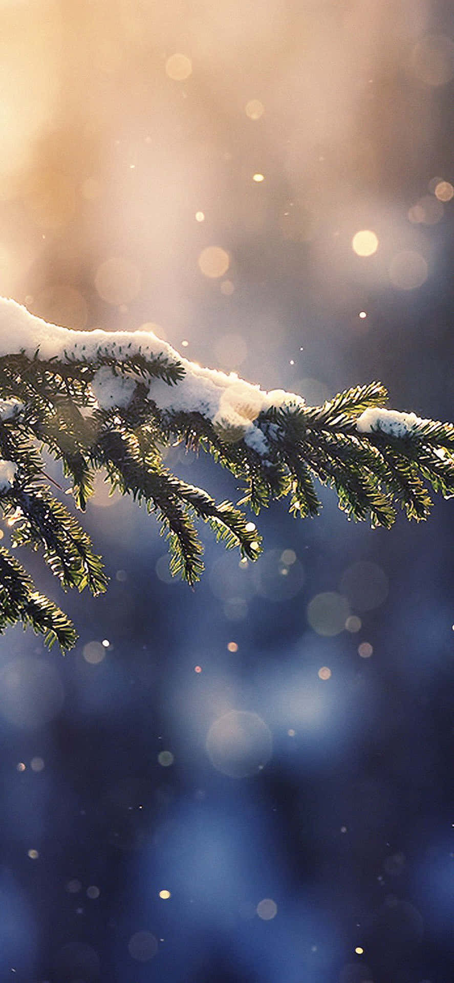 Caption: Enchanting Christmas Winter Wonderland