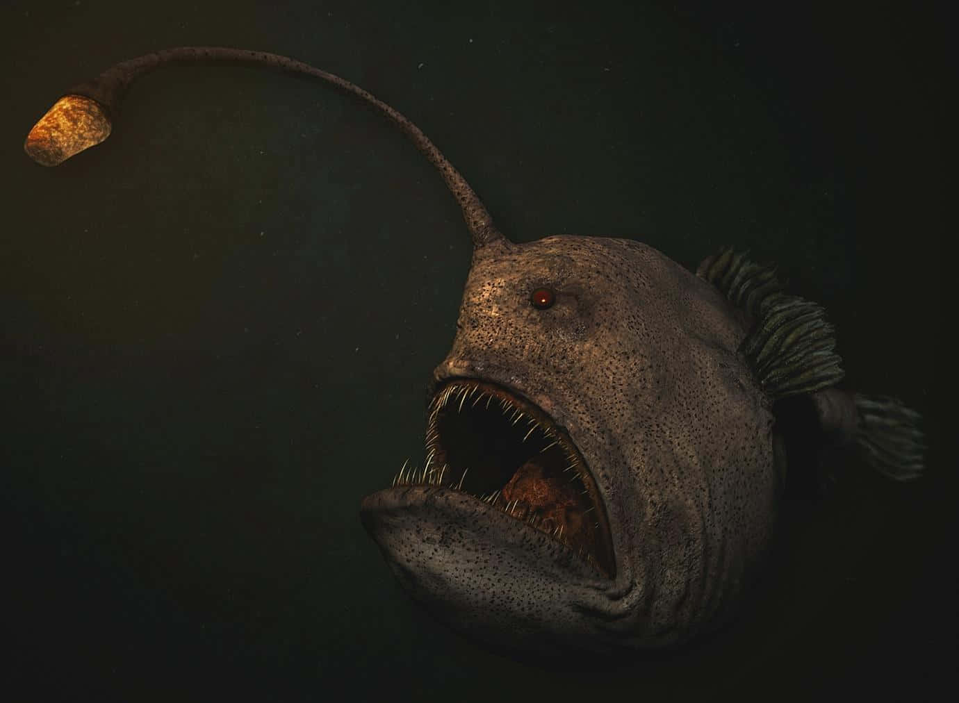 Caption: Enigmatic Anglerfish: A Luminary From The Deep Sea Wallpaper