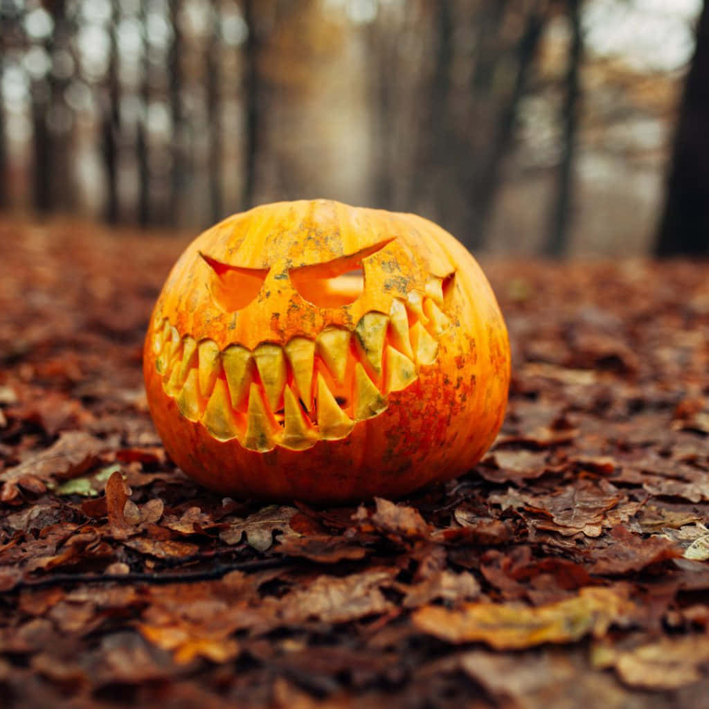 Caption: Enticing Halloween Pumpkin Display