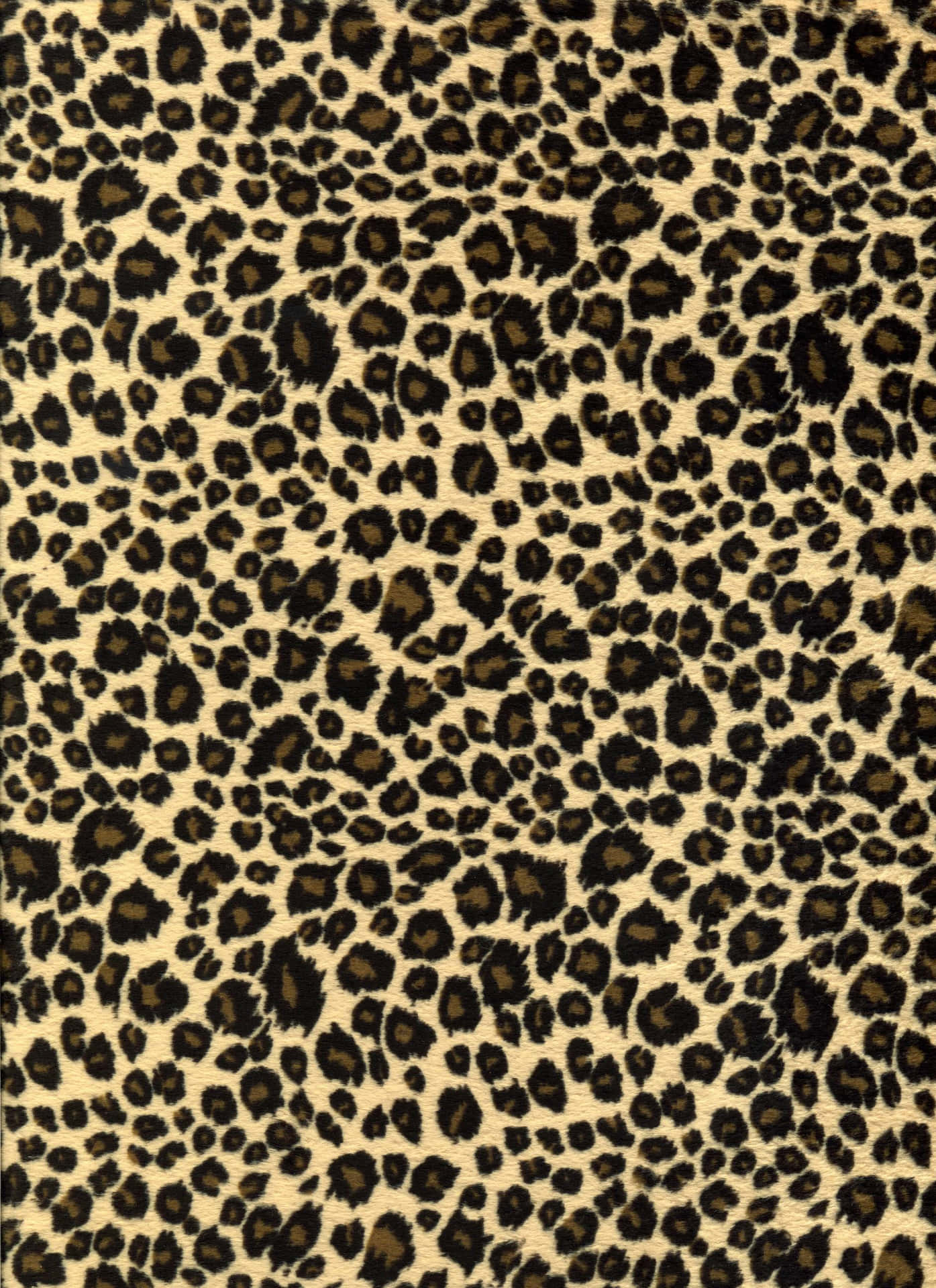 Caption: Express Your Wild Side With A Vibrant Leopard Print Background!