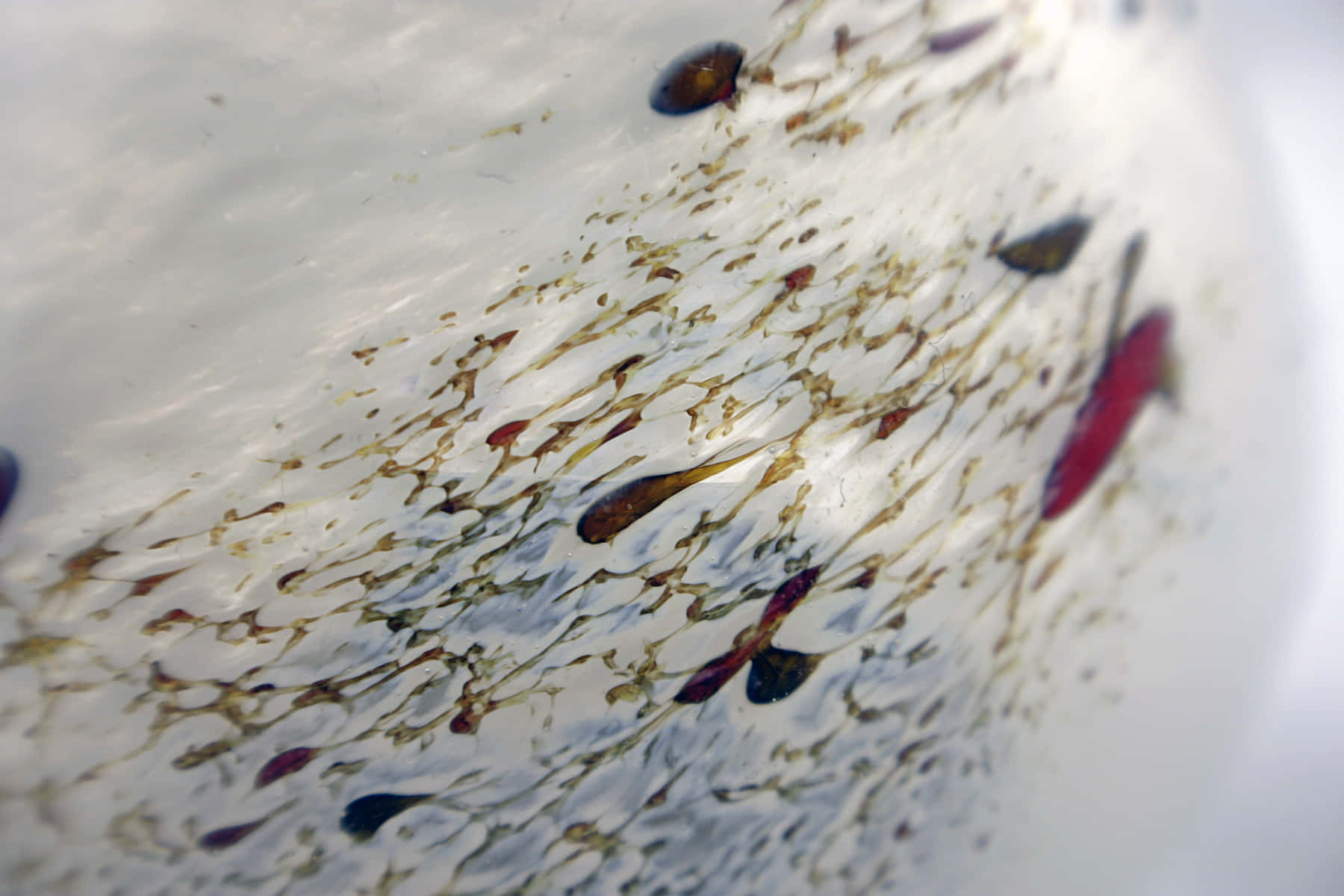 Caption: Exquisite Detail Of Glass Texture Wallpaper