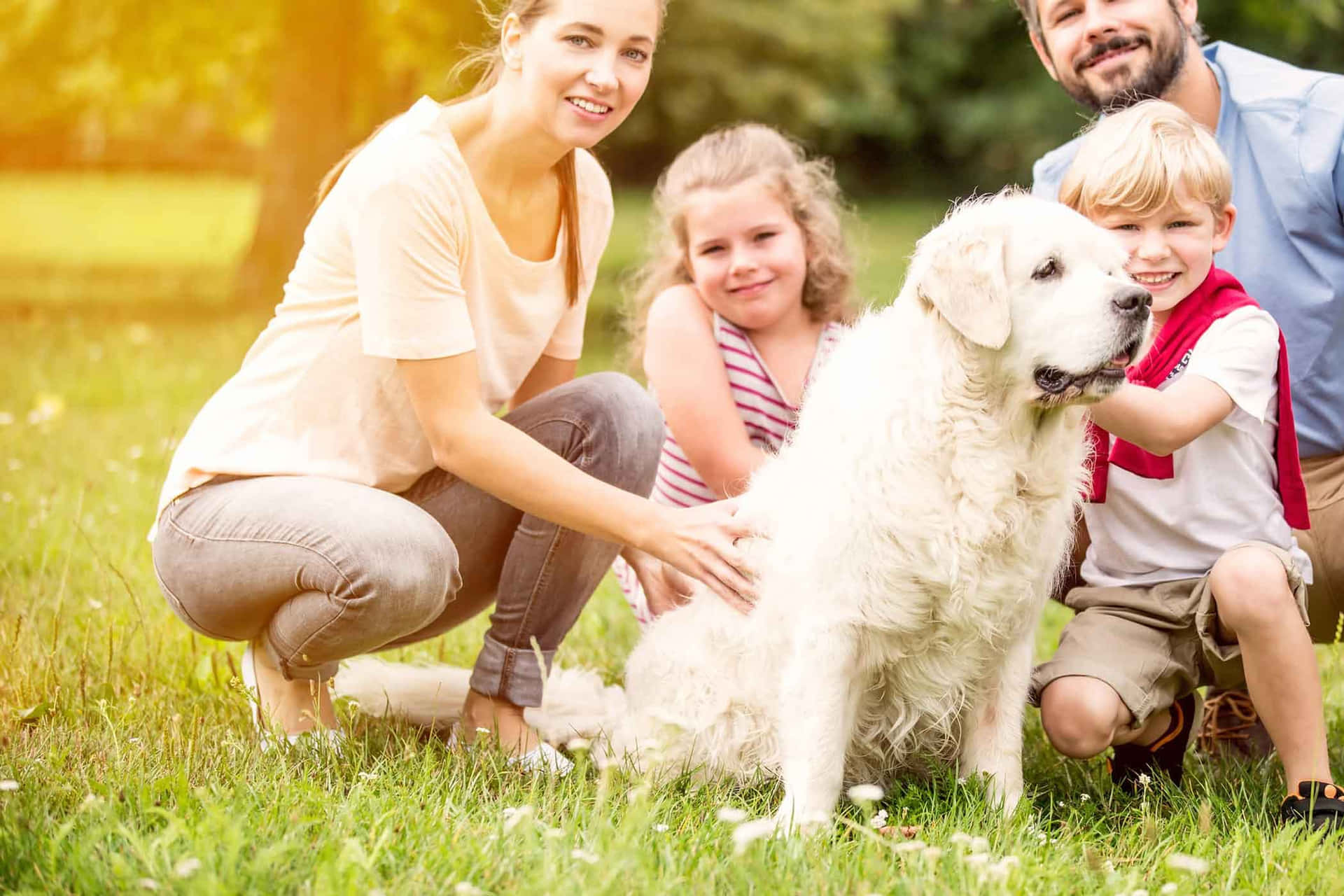 Caption: Happy Dog Family Enjoying Outdoors Wallpaper
