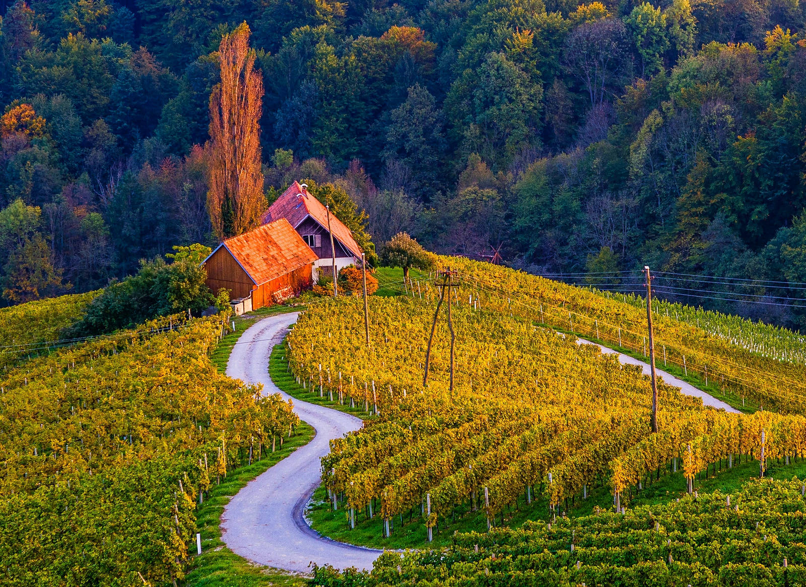 Caption: Idyllic Landscape Of Lake Bled, Slovenia Wallpaper