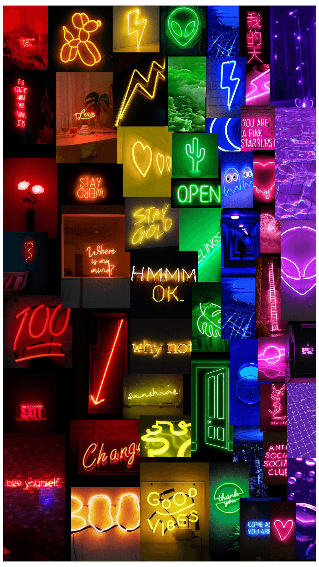 Caption: Illuminating Neon Splendor