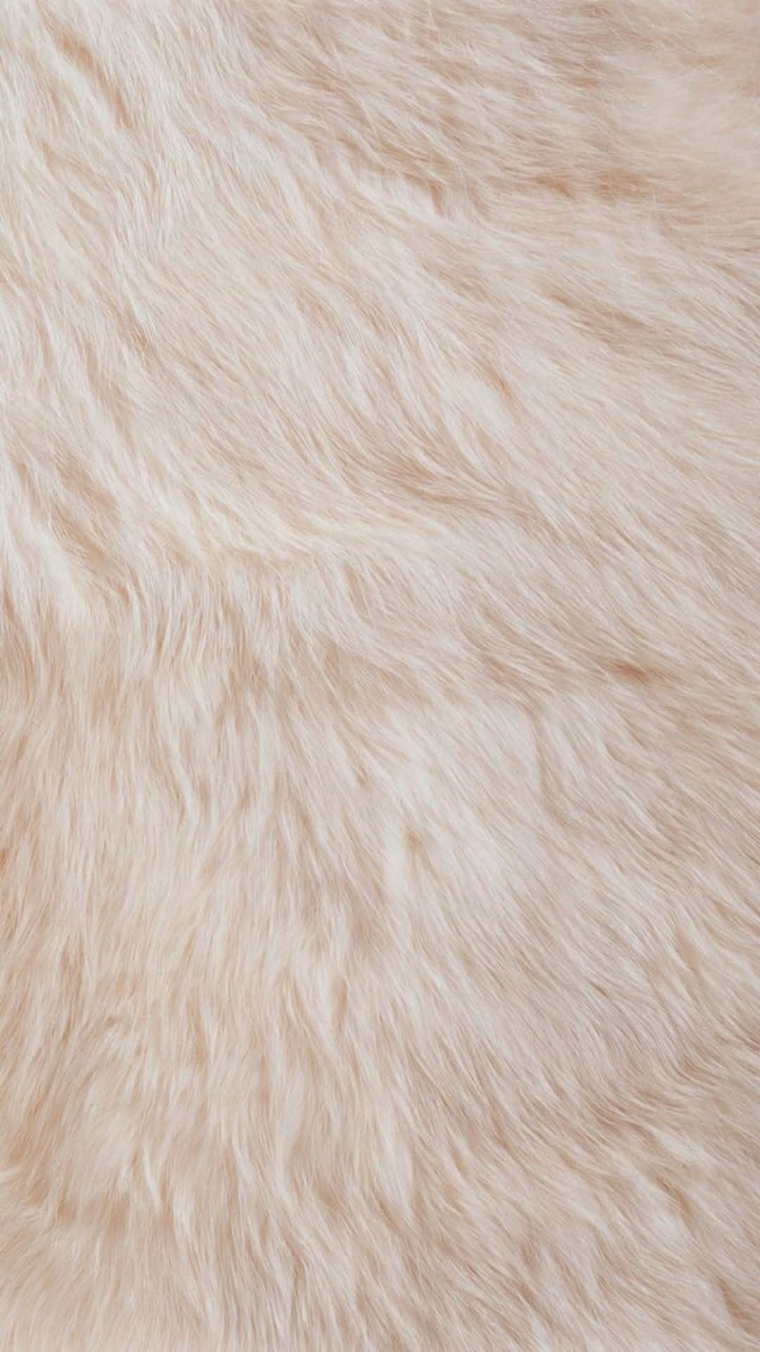 Caption: Luxurious Fur Texture Background