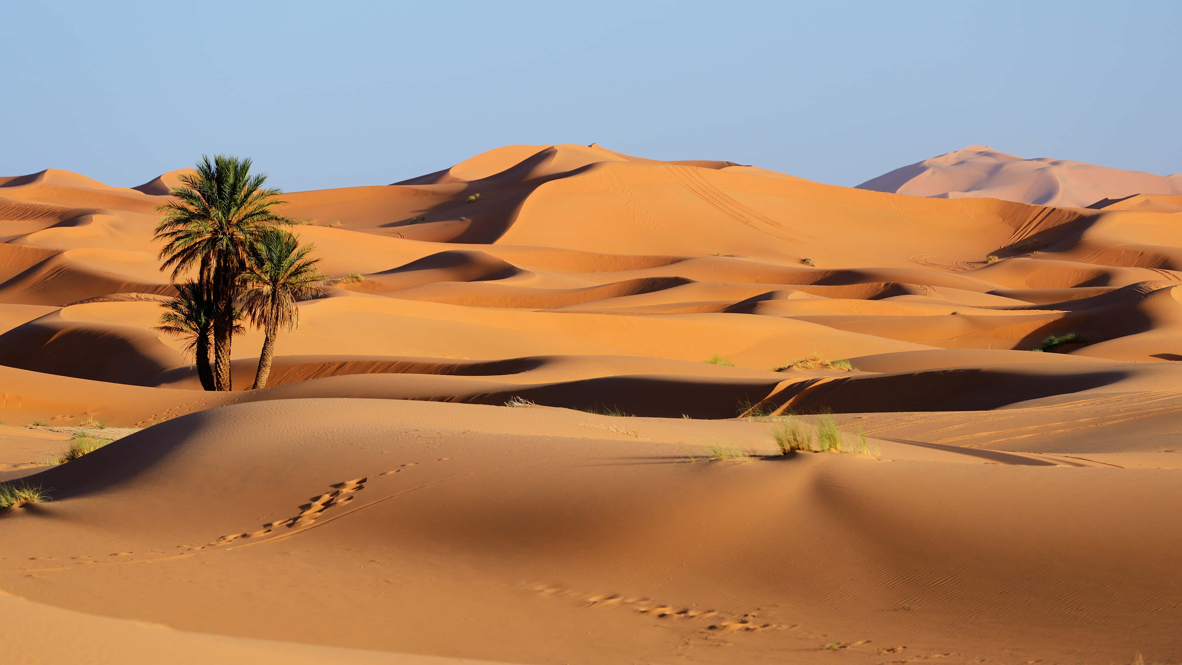 Caption: Majestic 4k View Of The Desert Expanse Wallpaper