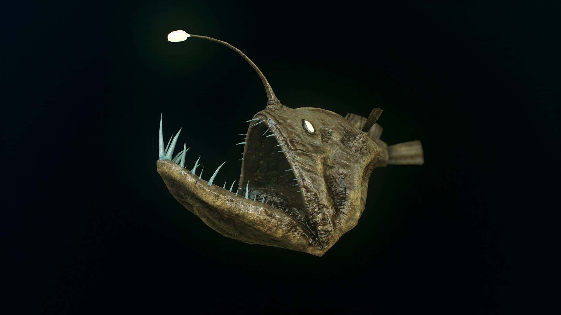 Bijschrift: Majestueuze Anglerfish In Diepzeehabitat Achtergrond