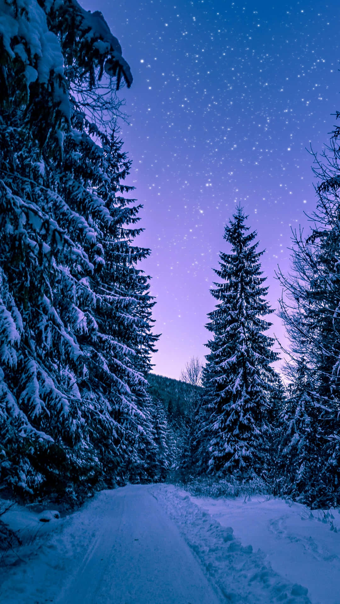 Caption: Majestic Winter Landscape On A Snowy Road Wallpaper