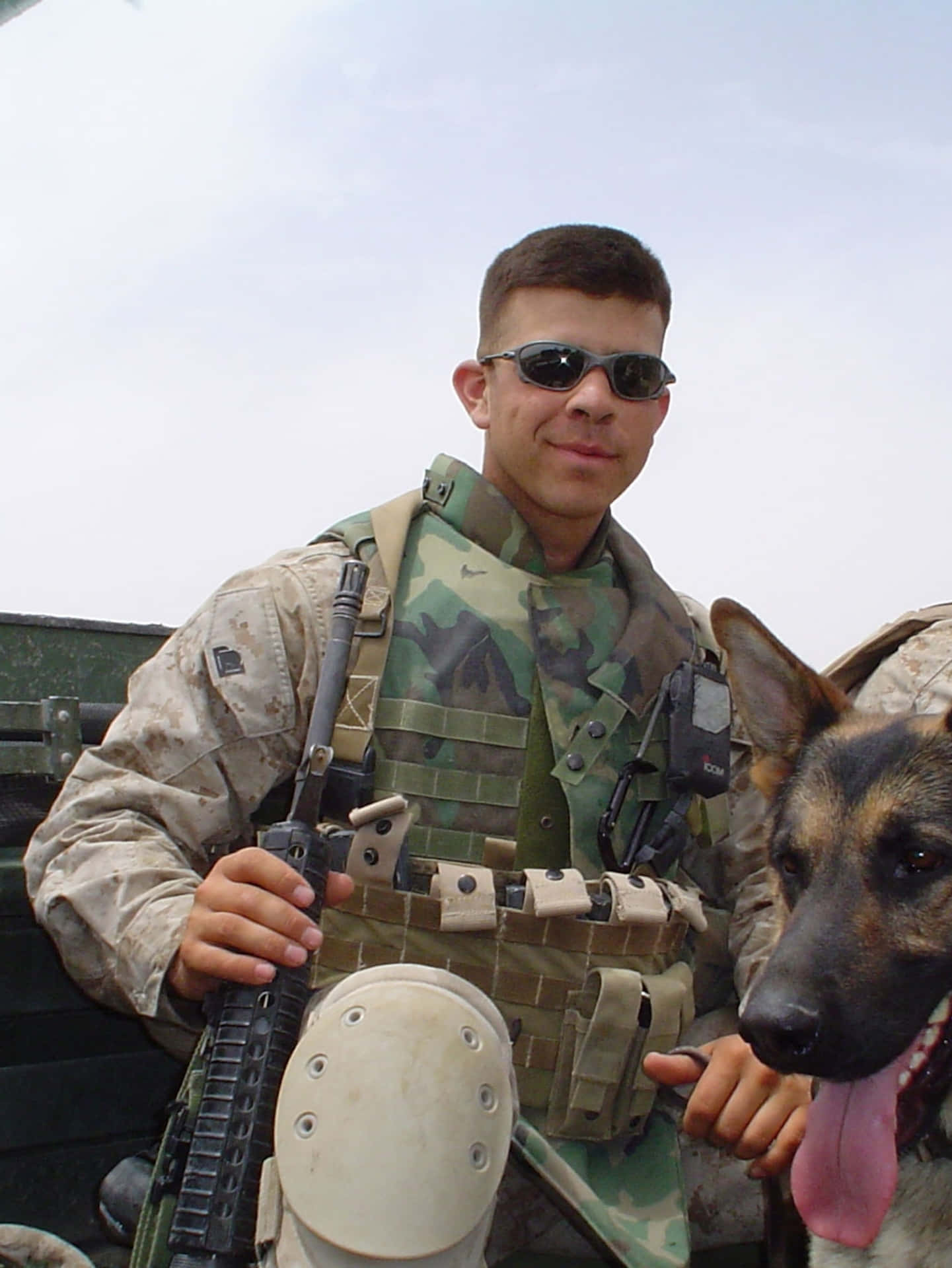 Caption: Military Dog On Duty Wallpaper