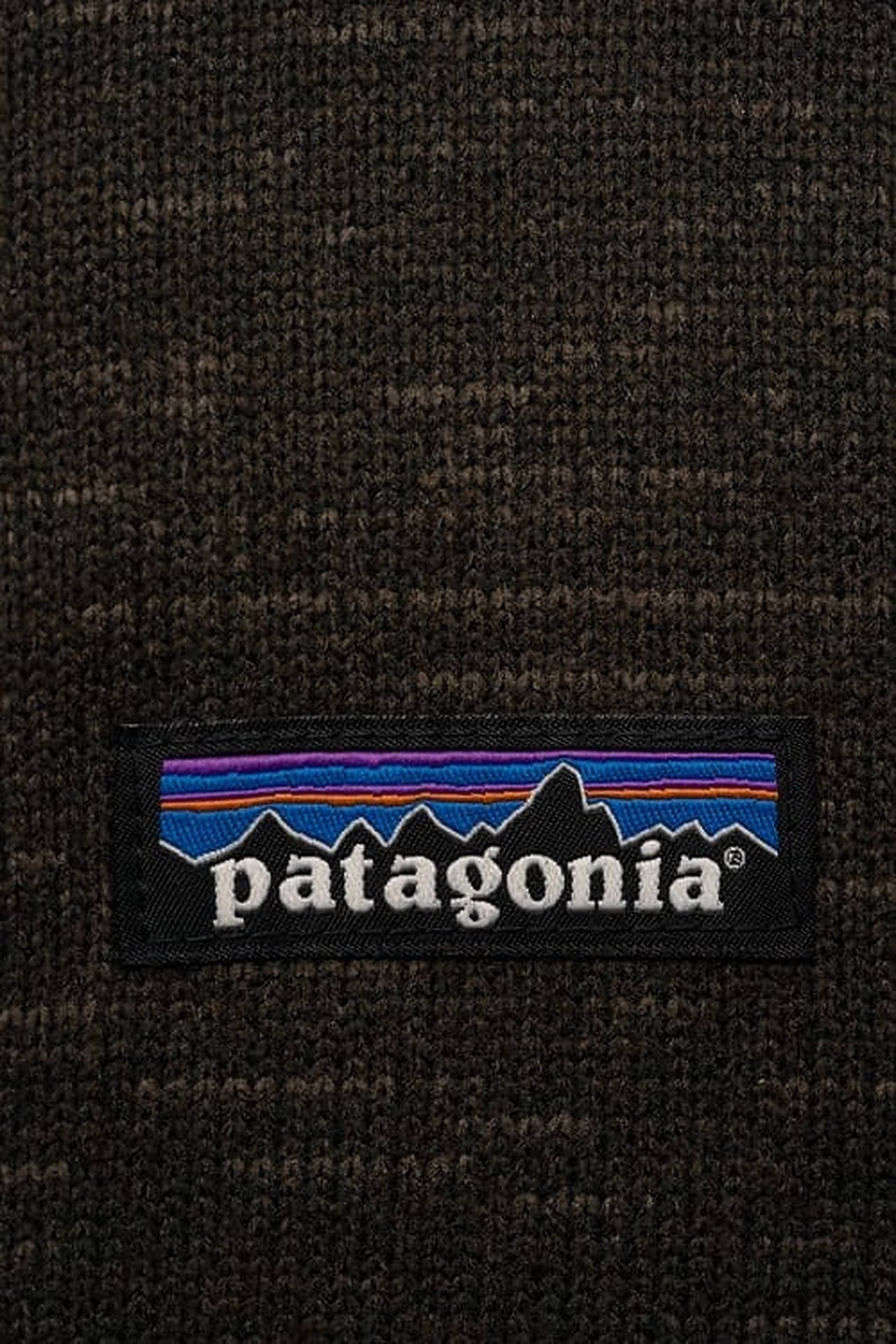 Caption: "patagonia Company Logo Against Mountain Background" Wallpaper