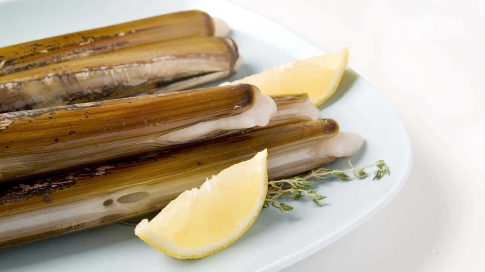 Caption: Razor Clam Discovery On Sandy Beach Wallpaper