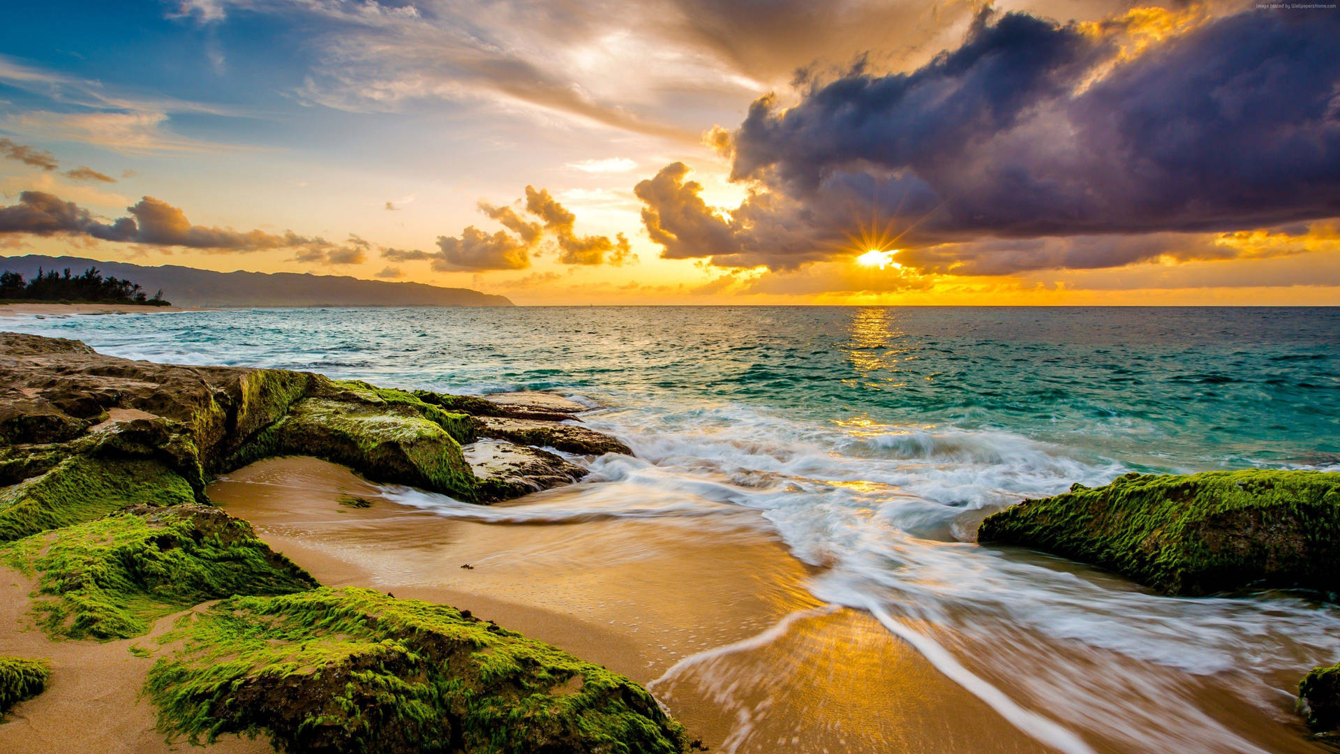 Caption: Serene Sunset At The Beach Wallpaper