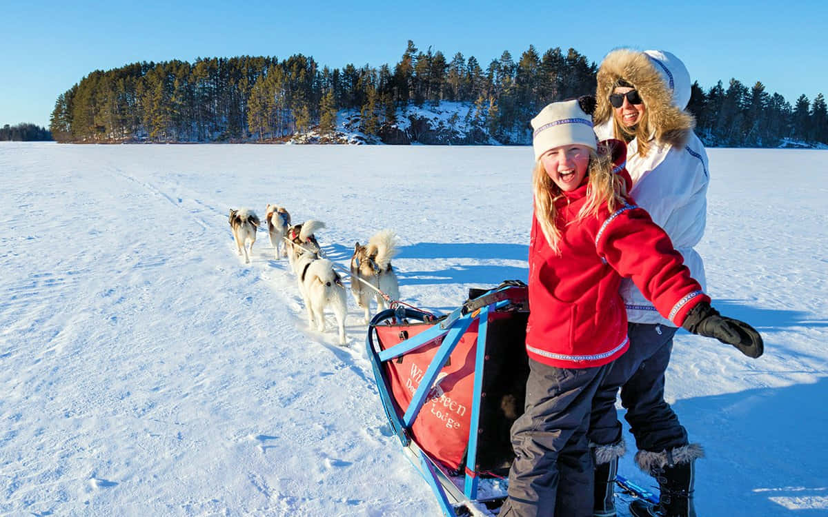 Bijschrift: Spirited Sled Dogs In Winter Bliss Achtergrond