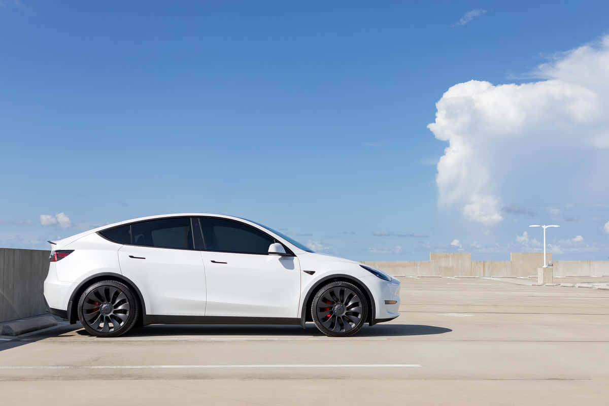Caption: Stunning Tesla Model Y In A Vibrant Landscape Wallpaper