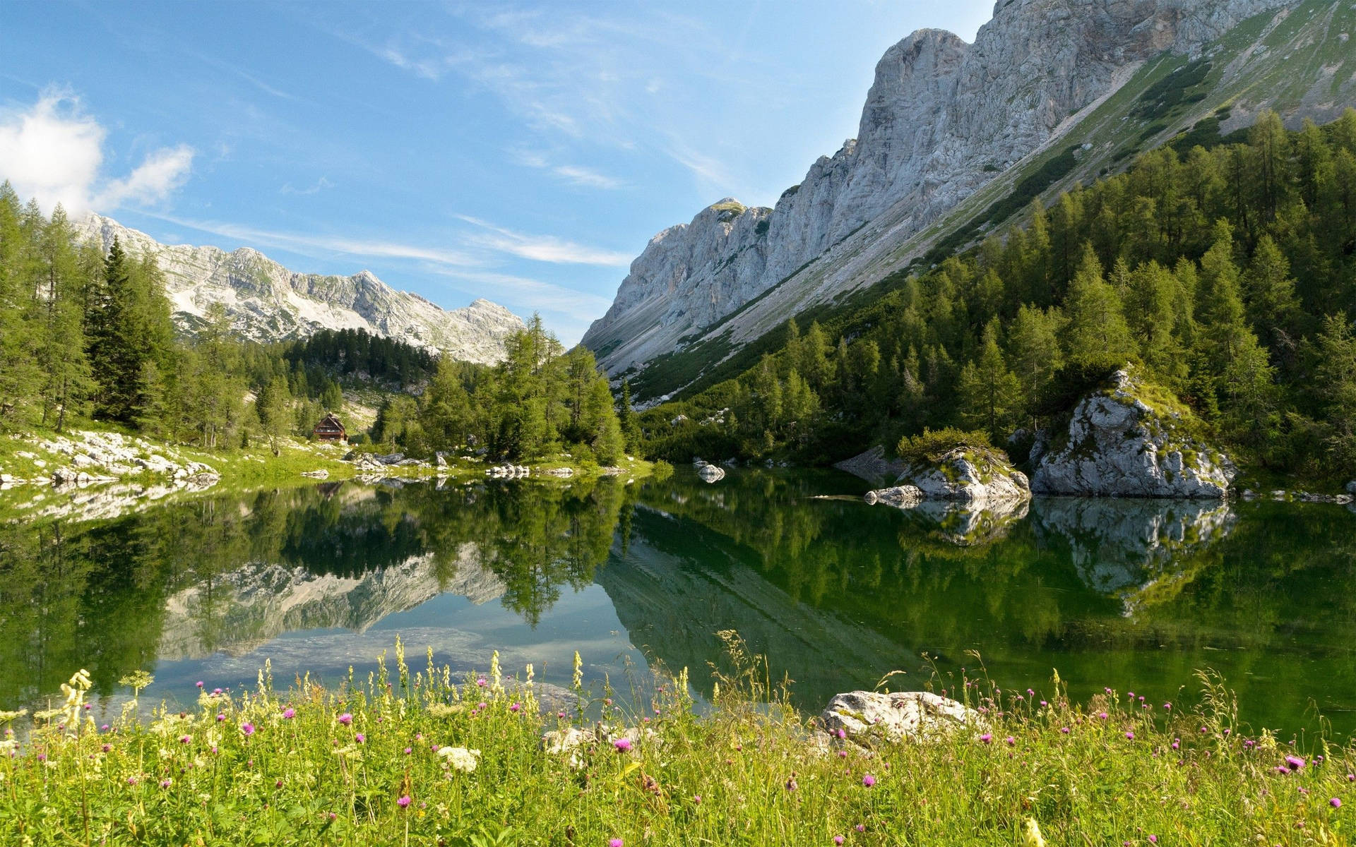 Caption: Tranquil Scenic Beauty Of Slovenia Wallpaper