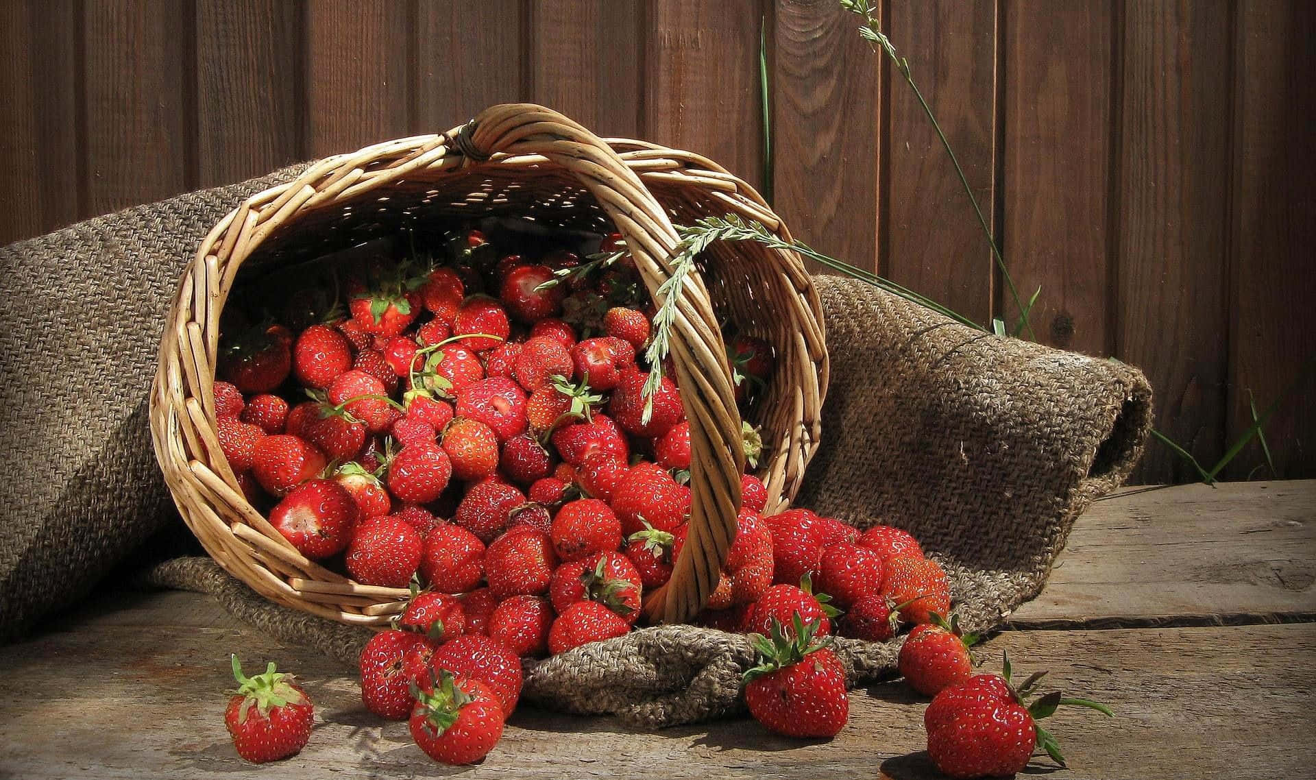 Caption: Vibrant Collection Of Fresh Tropical Fruits