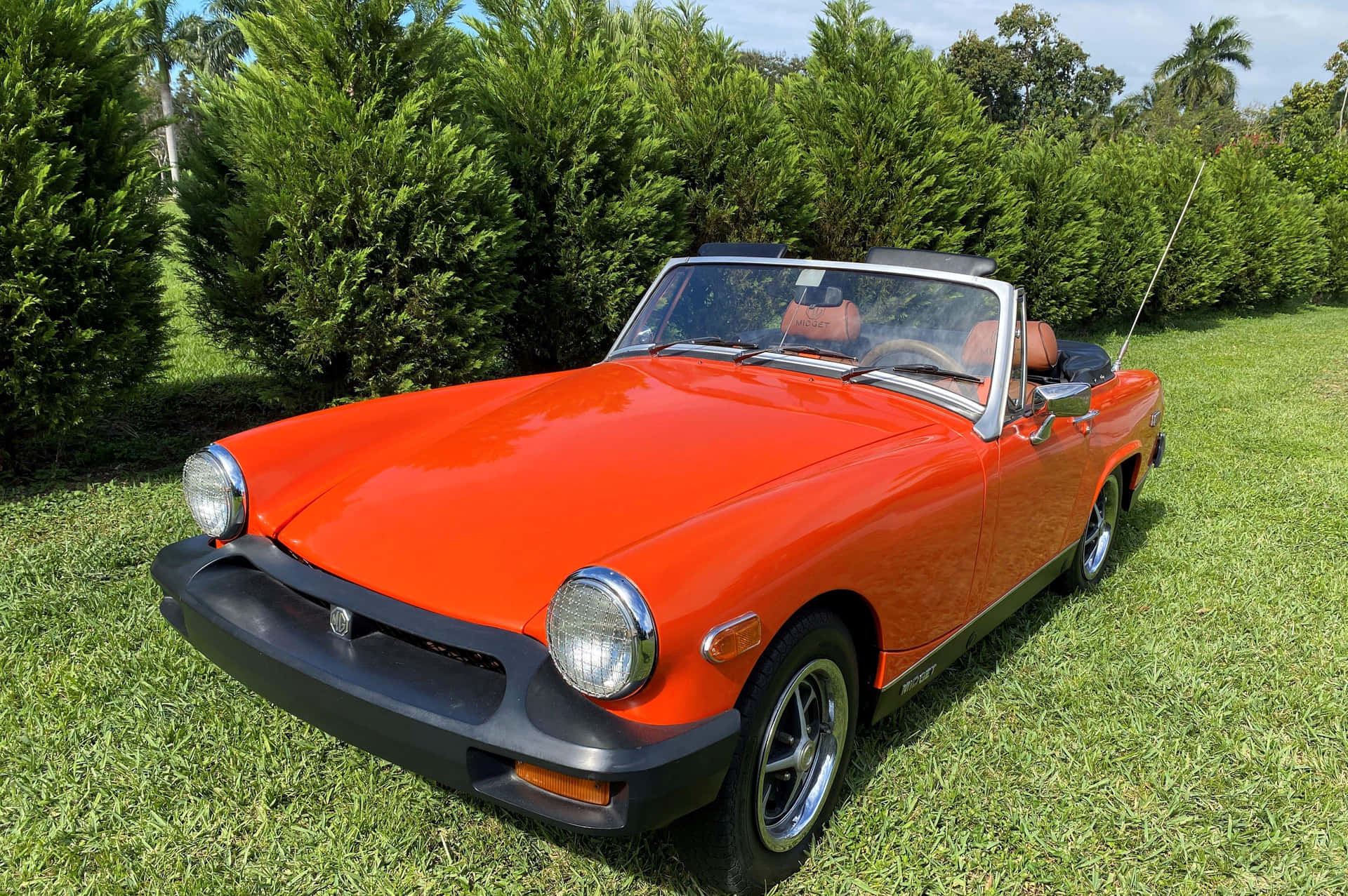 Caption: Vintage Elegance - Shining Red Mg Midget Convertible Wallpaper