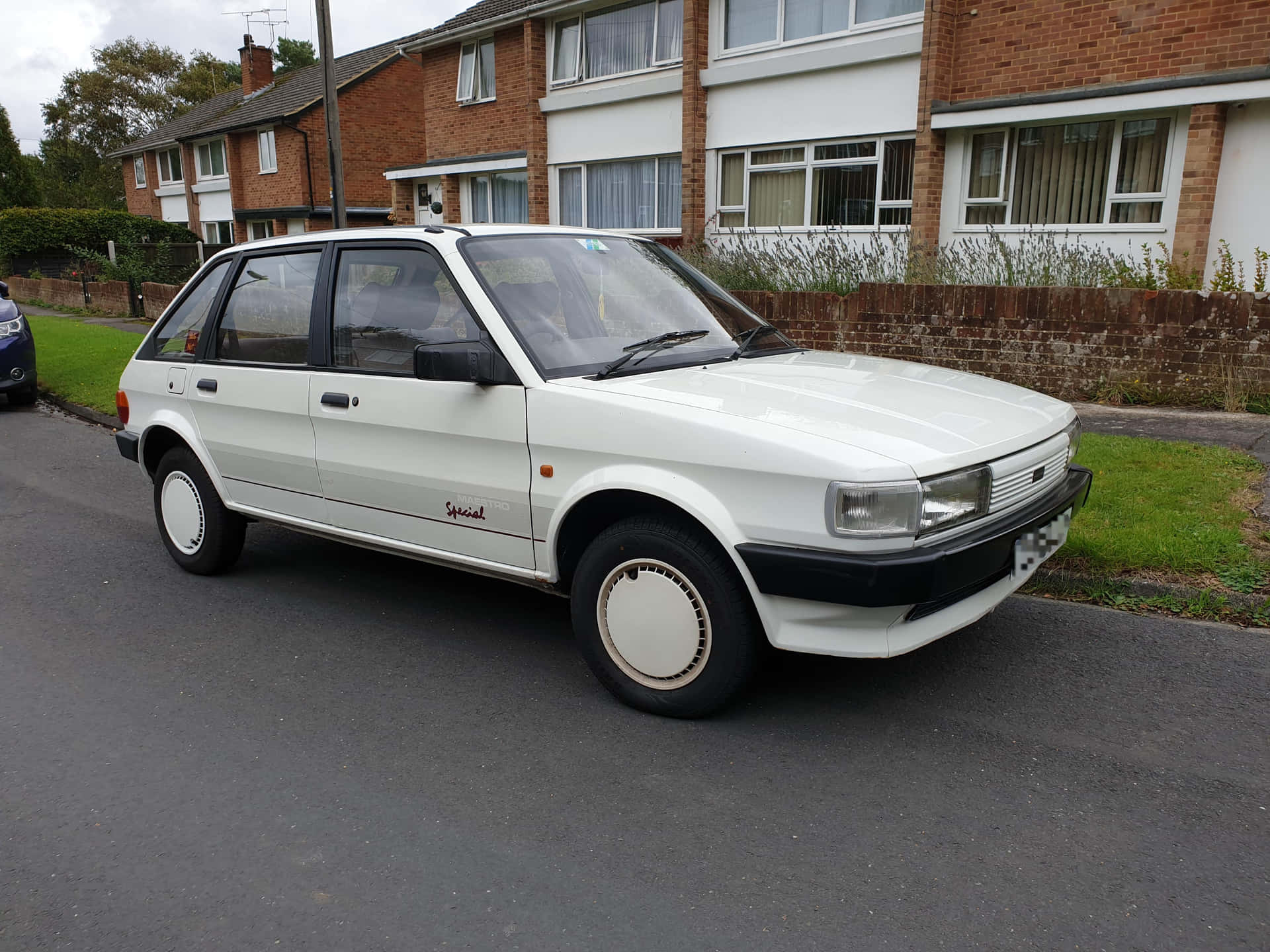 Kuvateksti: Vintage Mg Maestro Täydessä Loistossaan Taustakuva