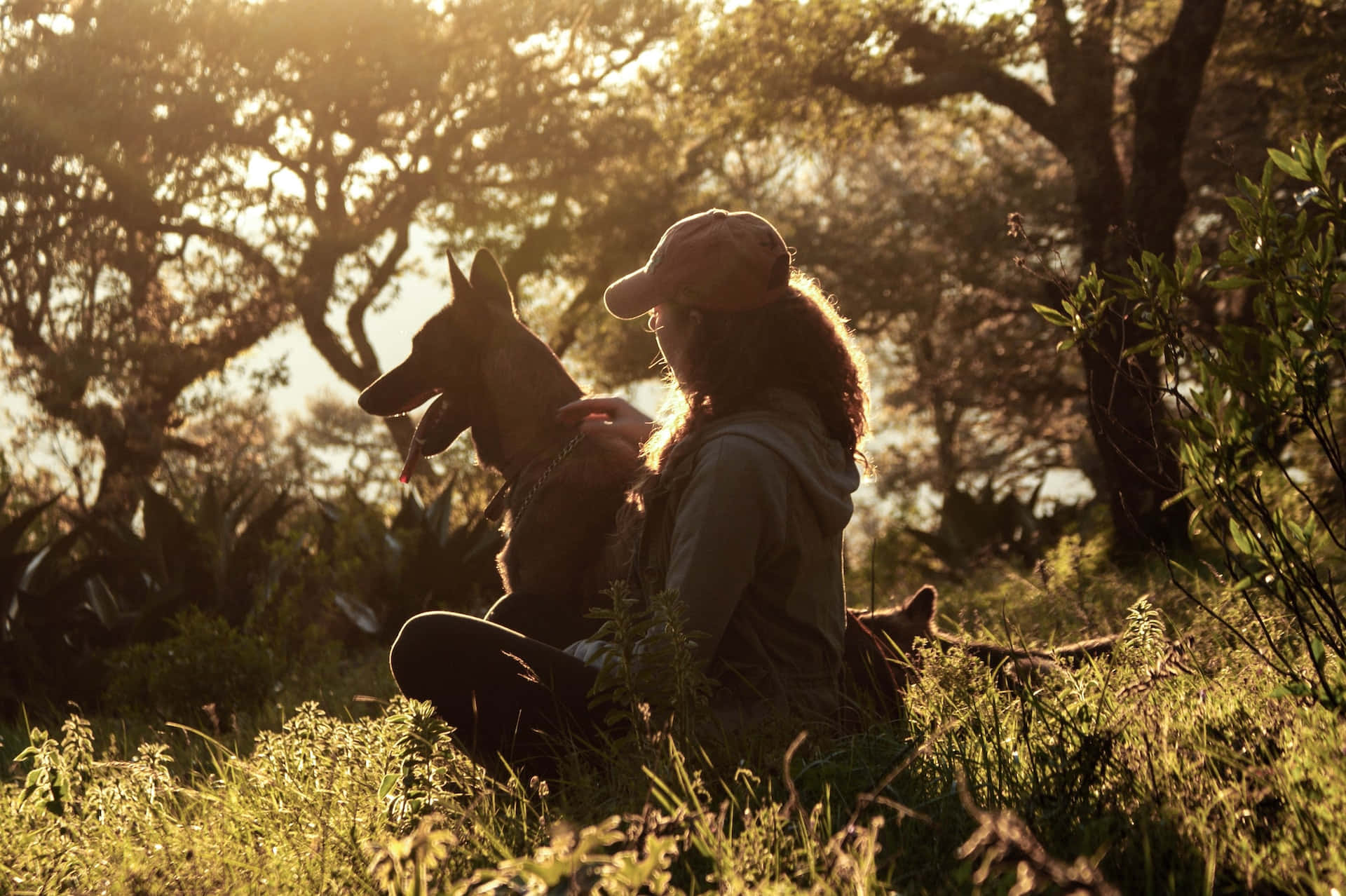 Caption: Woman And Her Beloved Dog Enjoying A Tranquil Sunset Wallpaper