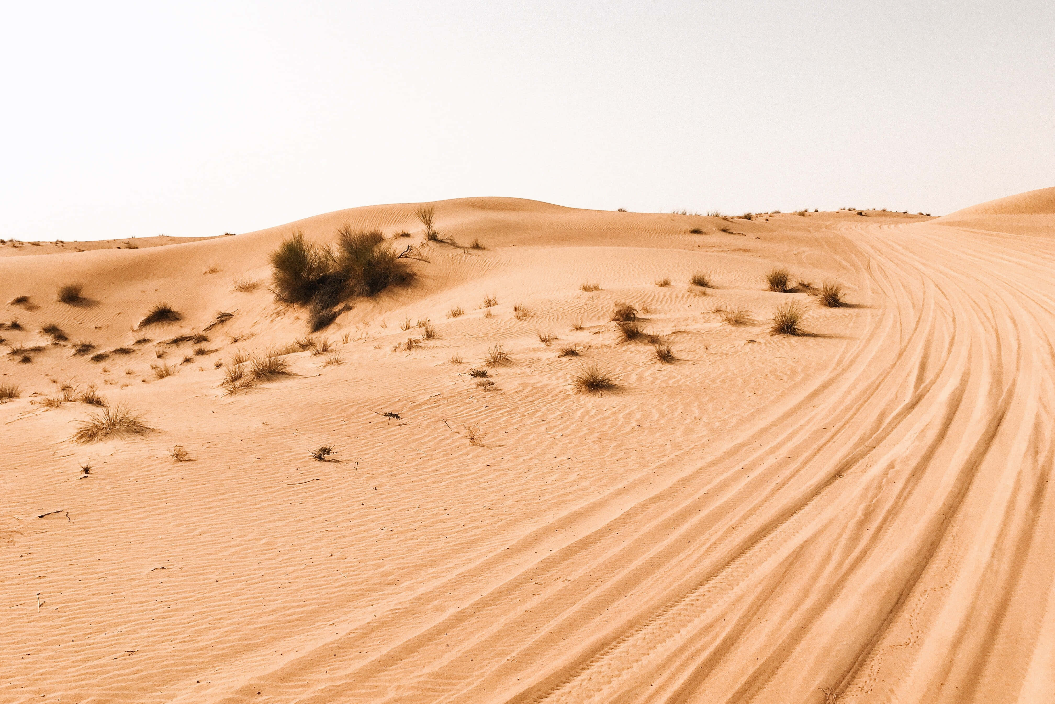 Captivating 4k View Of Vast Desert Landscape Wallpaper