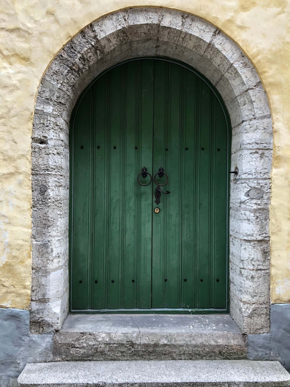 Captivating Antique Wooden Door