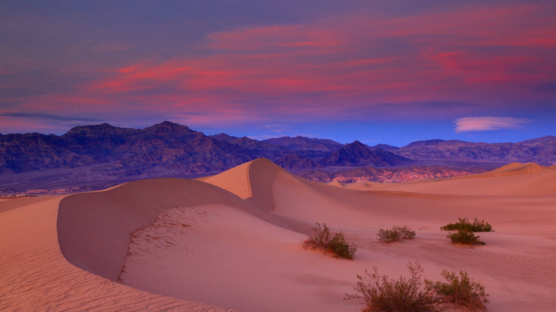Mageløs ørken Death Valley - Overraskelse af det støvede Dynamiske Wallpaper